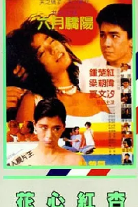 男男免费观看高清完整版在线观看熊